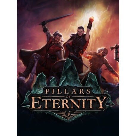 Pillars of Eternity Hero Edition + Preorder Bonus RU VPN Activated Steam CD Key