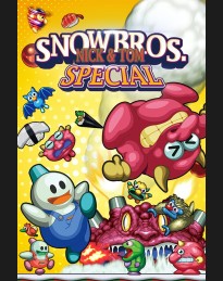 Snow Bros. Special Anniversary Edition PC Steam CD Key