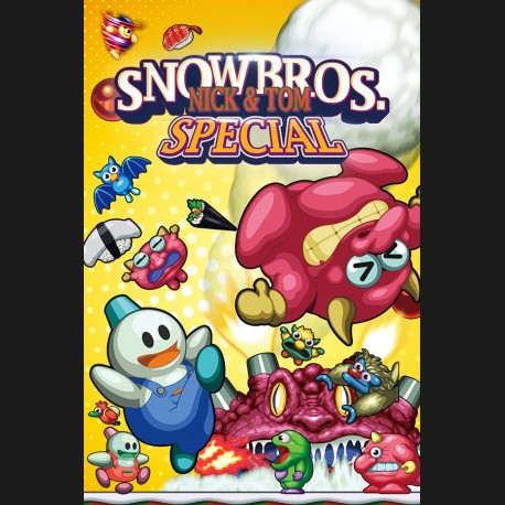 Snow Bros. Special Anniversary Edition PC Steam CD Key