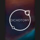 DICHOTOMY PC Steam CD Key