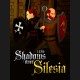 1428: Shadows over Silesia PC Steam CD Key