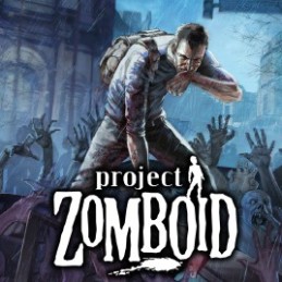 Project Zomboid RU VPN Required Steam Gift