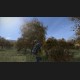 DayZ NA PC Steam CD Key