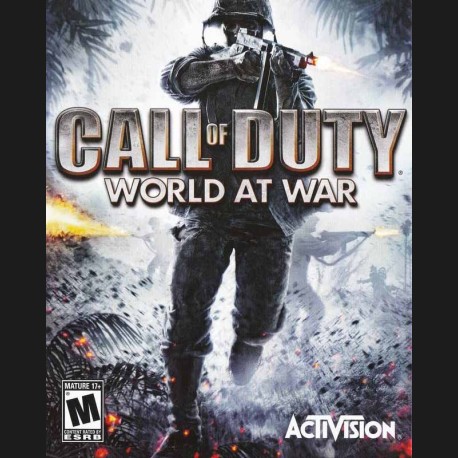 Call of Duty: World at War EU PC 10 Windows CD Key