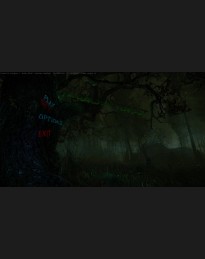 The Cursed Forest PC Steam Account