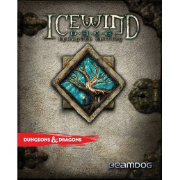 Icewind Dale: Enhanced Edition GOG CD Key