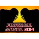 Football Mogul 2014 Steam CD Key