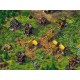 The Settlers 4: Gold Edition GOG CD Key