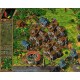 The Settlers 4: Gold Edition GOG CD Key