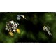 Galactic Civilizations III - Revenge of the Snathi DLC Steam CD Key