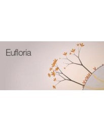 Eufloria Steam CD Key