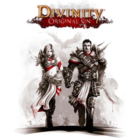 Divinity: Original Sin Enhanced Edition Steam Gift