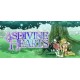 Asdivine Hearts Steam CD Key