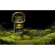 Samorost 3 Steam CD Key