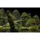 Samorost 3 Steam CD Key