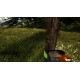 Forestry 2017: The Simulation Steam CD Key