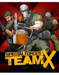 Special Forces: Team X Steam CD Key