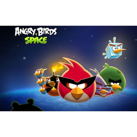 Angry Birds Space Steam Gift