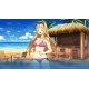 Sakura Beach 2 Steam CD Key