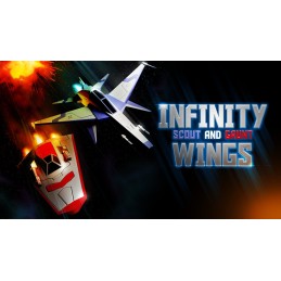 Infinity Wings - Scout & Grunt Steam CD Key