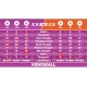 VIDEOBALL Steam CD Key