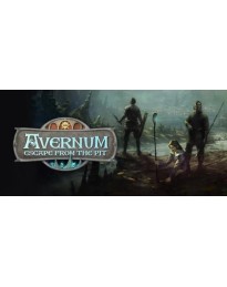 Avernum: Escape From the Pit PC Steam CD Key