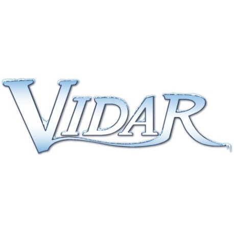 Vidar Steam CD Key