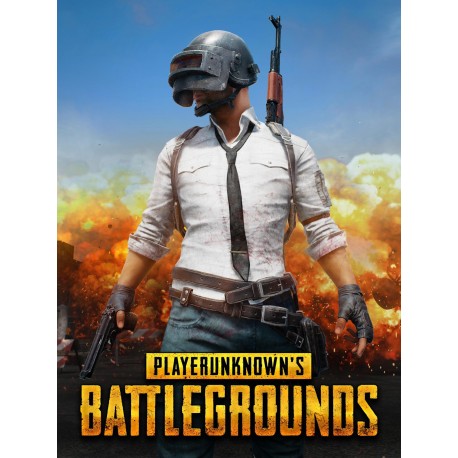 PLAYERUNKNOWN'S BATTLEGROUNDS Deluxe Edition Steam CD Key