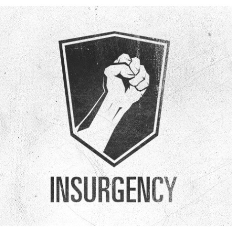 Insurgency ASIA Steam CD Key