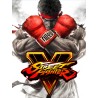 Street Fighter V BR Steam CD Key