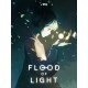 Flood of Light Steam CD Key