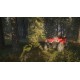 theHunter: Call of the Wild - ATV Saber 4X4 DLC Steam CD Key