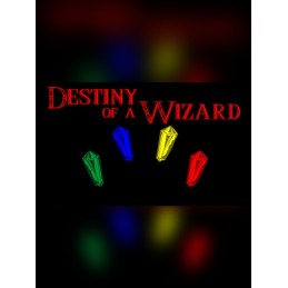 Destiny of a Wizard Steam CD Key