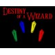 Destiny of a Wizard Steam CD Key