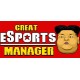 Great eSports Manager Steam CD Key