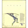 Arena Steam CD Key