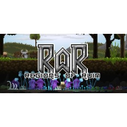 Regions Of Ruin PC Steam CD Key