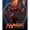 Magic 2014 - Duels of the Planeswalkers Steam Gift