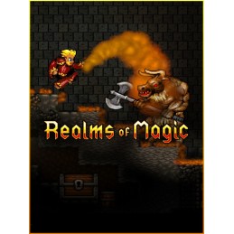 Realms of Magic PC Steam CD Key