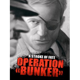 A Stroke of Fate: Operation Bunker Steam CD Key