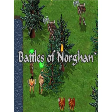 Battles of Norghan Steam CD Key