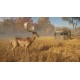 theHunter: Call of the Wild - Tents & Ground Blinds DLC Steam CD Key