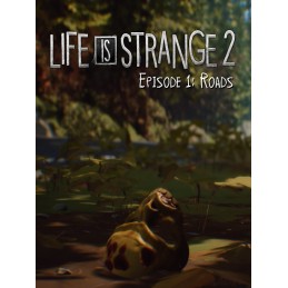 Life is Strange 2 - Episode 1 Steam CD Key