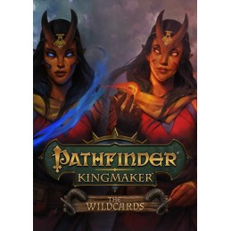 Pathfinder: Kingmaker - The Wildcards DLC PC Steam CD Key