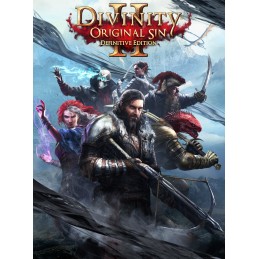 Divinity: Original Sin 2 Definitive Edition GOG CD Key