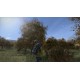 DayZ PC Steam CD Key