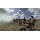 Mount & Blade: Warband - Napoleonic Wars DLC Steam CD Key