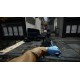 PAYDAY 2 - Gage Weapon Pack 2 Steam Gift