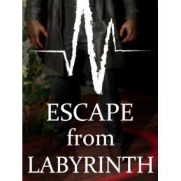 Escape from Labyrinth Steam CD Key