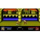 Double Dragon IV PC Steam CD Key